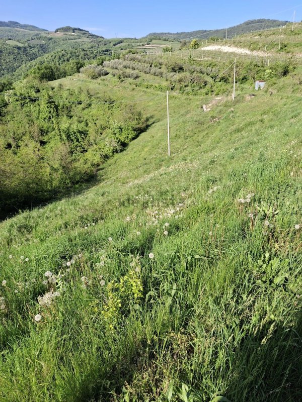 terreno agricolo in vendita a Tregnago