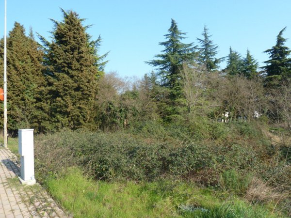 casa indipendente in vendita a Tregnago in zona Marcemigo
