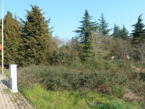 casa indipendente in vendita a Tregnago