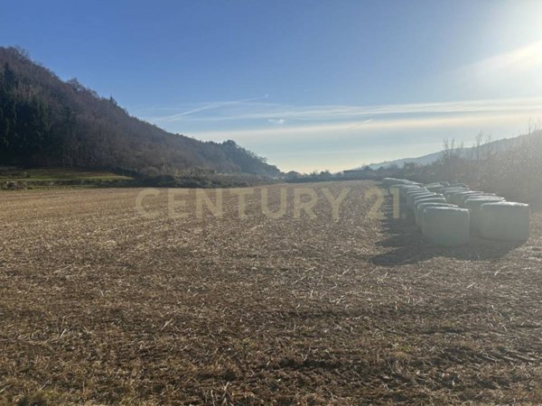 appartamento in vendita a Tregnago in zona Cogollo