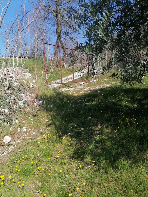 terreno agricolo in vendita a Tregnago