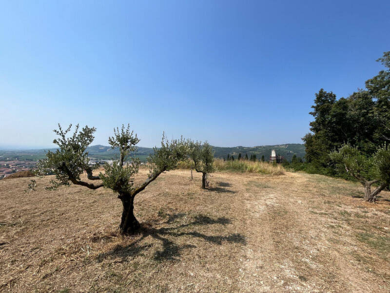 villa in vendita a Tregnago