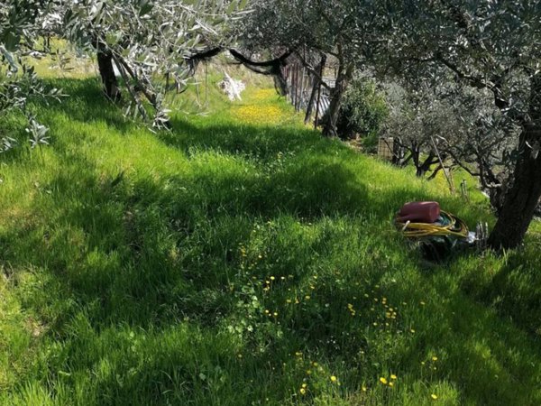 terreno agricolo in vendita a Tregnago in zona Finetti