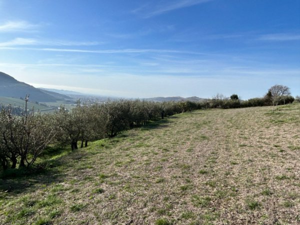 terreno in vendita a Tregnago in zona Cogollo