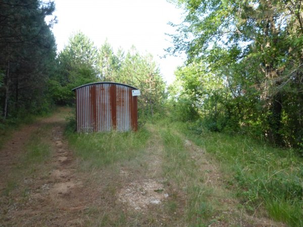 terreno in vendita a Tregnago in zona Finetti