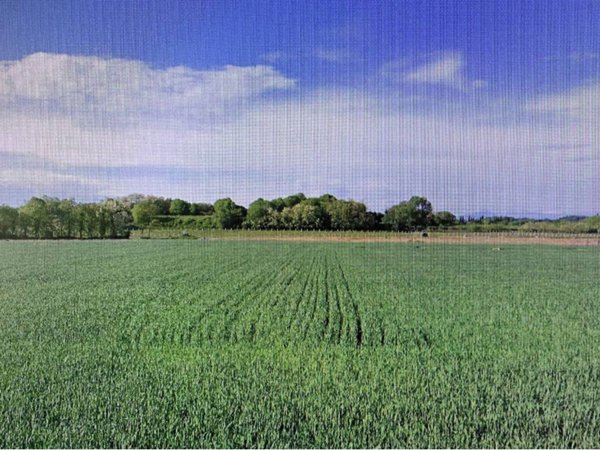 terreno agricolo in vendita a Valeggio sul Mincio