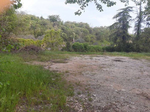 terreno agricolo in vendita a Valeggio sul Mincio