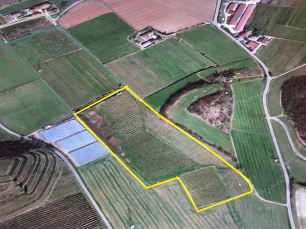 terreno agricolo in vendita a Valeggio sul Mincio in zona Santa Lucia
