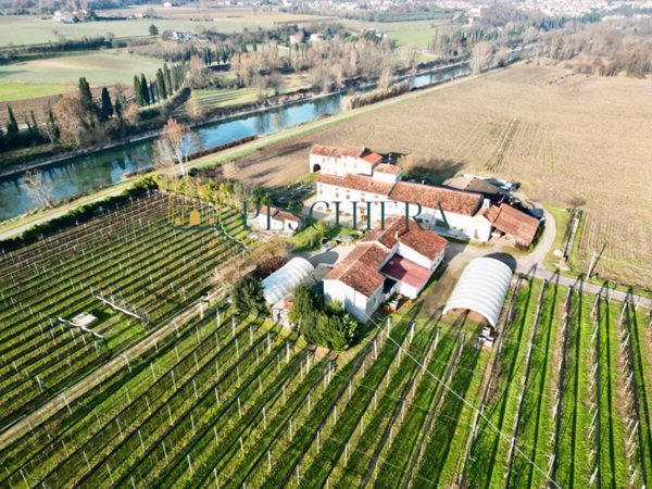 azienda agricola in vendita a Valeggio sul Mincio