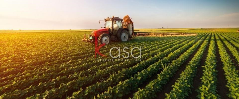 terreno agricolo in vendita a Valeggio sul Mincio