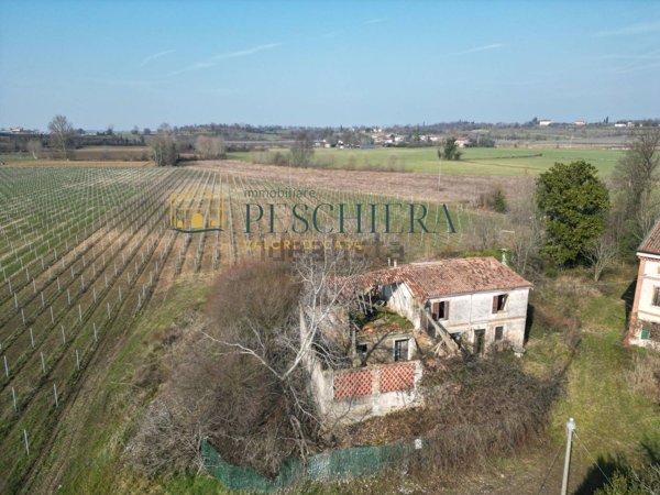 esavano in vendita a Valeggio sul Mincio