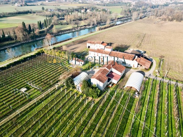 azienda agricola in vendita a Valeggio sul Mincio in zona Borghetto