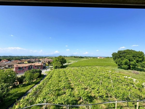 appartamento in vendita a Valeggio sul Mincio in zona Salionze