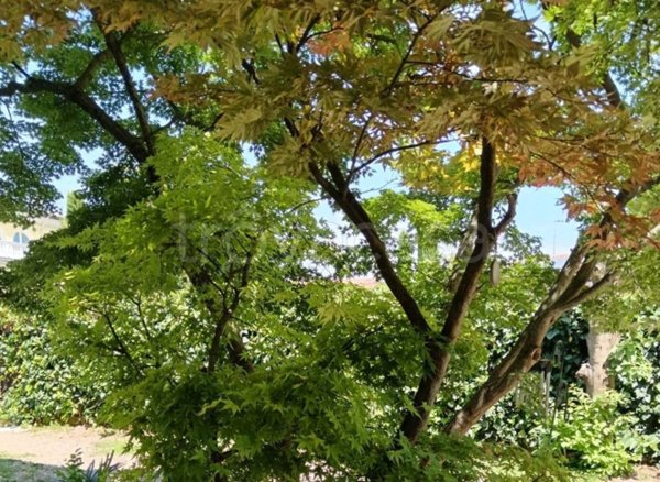 casa indipendente in vendita a Valeggio sul Mincio