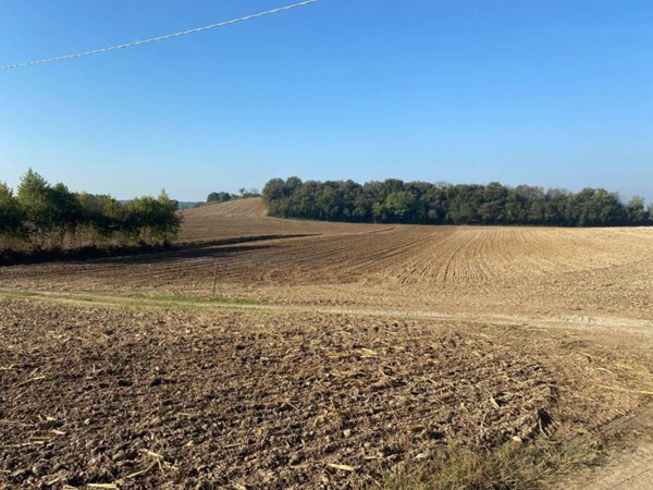 terreno agricolo in vendita a Valeggio sul Mincio