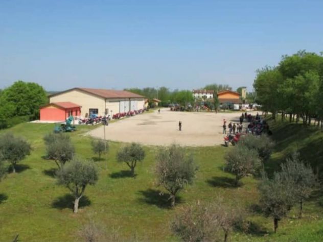 negozio in vendita a Valeggio sul Mincio