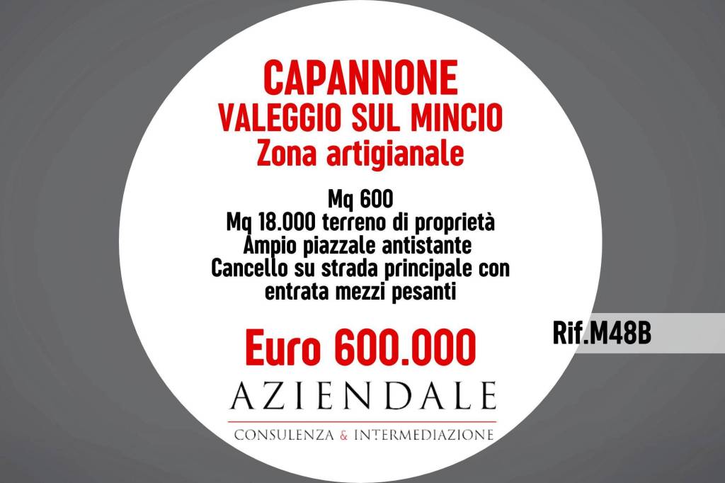 locale commerciale in vendita a Valeggio sul Mincio