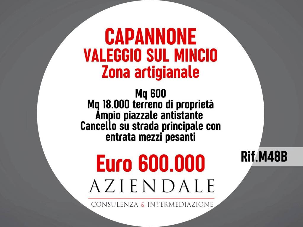 locale commerciale in vendita a Valeggio sul Mincio in zona Borghetto