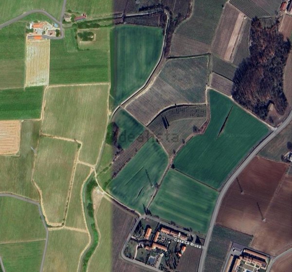 terreno agricolo in vendita a Valeggio sul Mincio