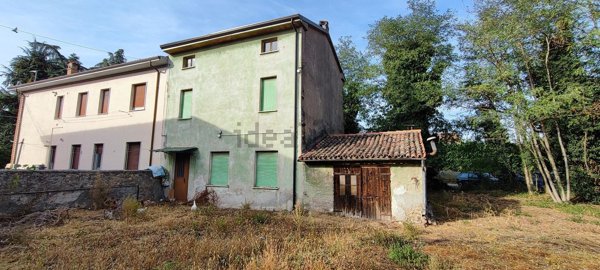 esavano in vendita a Valeggio sul Mincio in zona Foroni