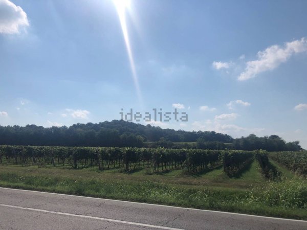terreno edificabile in vendita a Valeggio sul Mincio