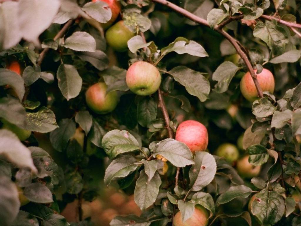 casa indipendente in vendita a Valeggio sul Mincio