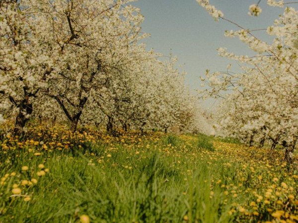 casa indipendente in vendita a Valeggio sul Mincio