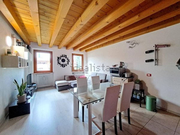 appartamento in vendita a Valeggio sul Mincio in zona Salionze