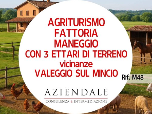 negozio in vendita a Valeggio sul Mincio in zona Borghetto