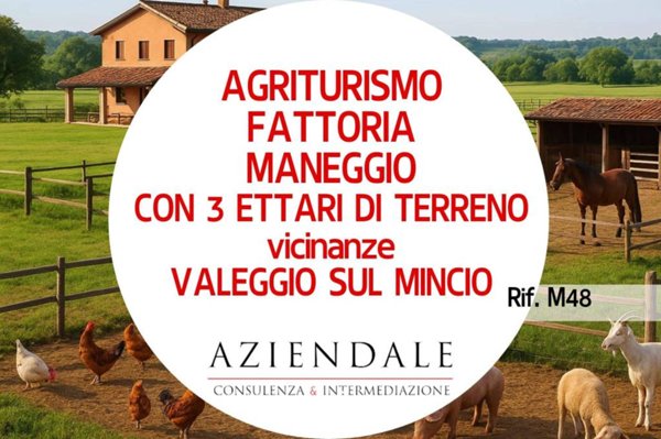 negozio in vendita a Valeggio sul Mincio in zona Borghetto