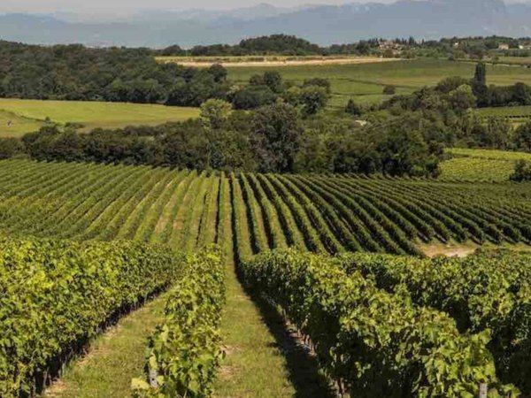 terreno edificabile in vendita a Valeggio sul Mincio