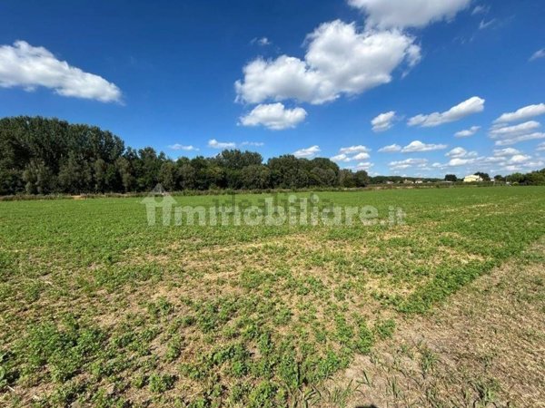 terreno agricolo in vendita a Valeggio sul Mincio in zona Borghetto