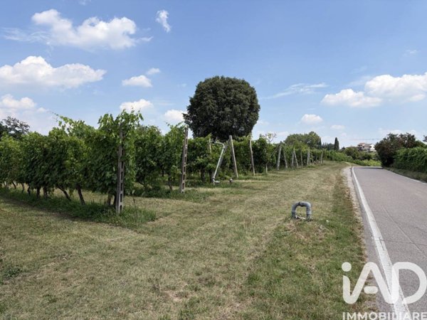 terreno agricolo in vendita a Valeggio sul Mincio in zona Santa Lucia