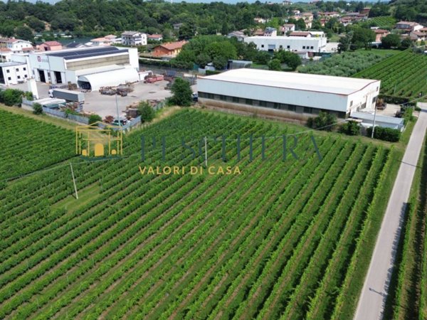 terreno agricolo in vendita a Valeggio sul Mincio in zona Fontanello