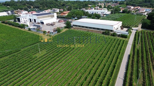 locale di sgombero in vendita a Valeggio sul Mincio in zona Fontanello