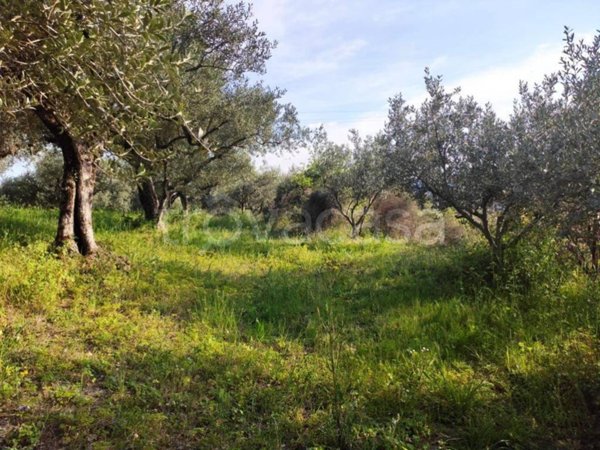 terreno agricolo in vendita a Verona in zona Mizzole