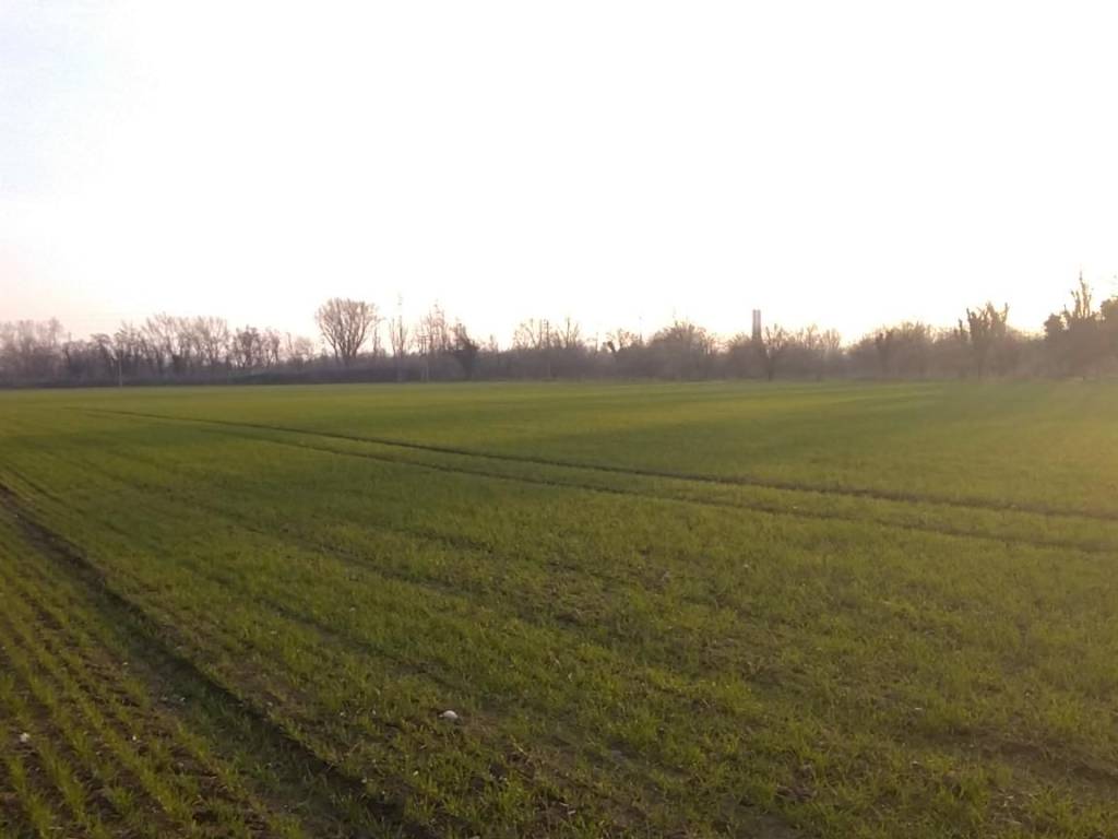 terreno agricolo in vendita a Verona in zona San Pancrazio