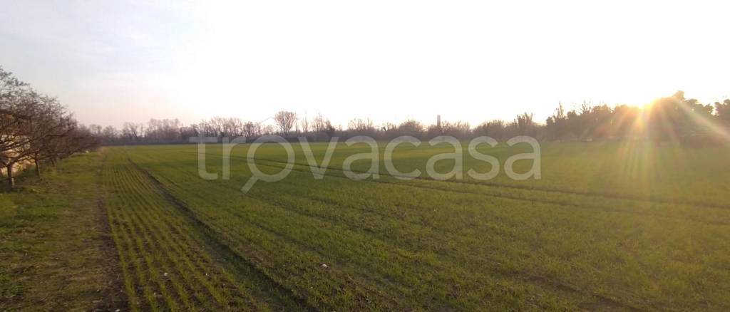 terreno agricolo in vendita a Verona in zona San Pancrazio