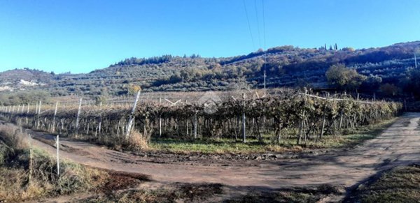 terreno agricolo in vendita a Verona in zona Quinzano