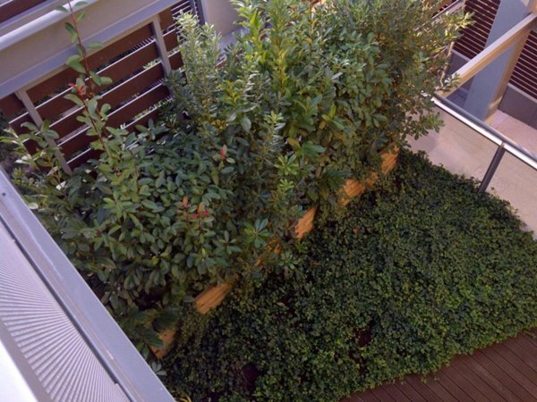 appartamento in vendita a Verona in zona Borgo Trento