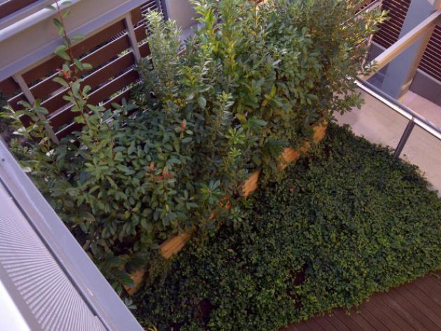 appartamento in vendita a Verona in zona Borgo Trento