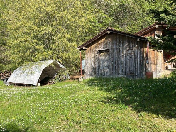 terreno agricolo in vendita a Verona