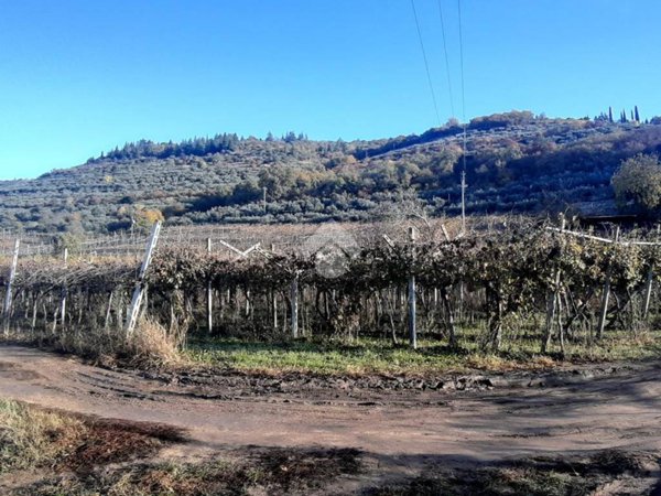 terreno agricolo in vendita a Verona in zona Quinzano