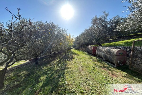 terreno agricolo in vendita a Verona in zona Avesa