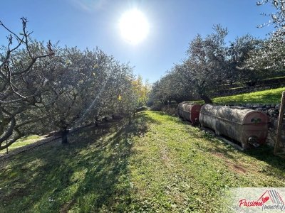terreno agricolo in vendita a Verona in zona Avesa