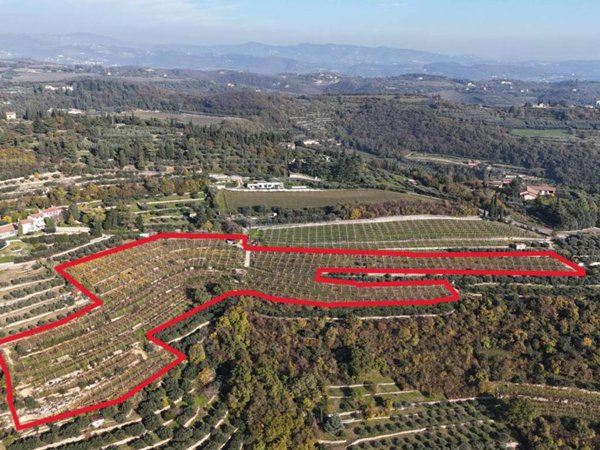 terreno agricolo in vendita a Verona in zona Quinzano