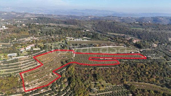 terreno agricolo in vendita a Verona in zona Quinzano