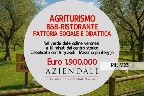negozio in vendita a Verona in zona San Zeno