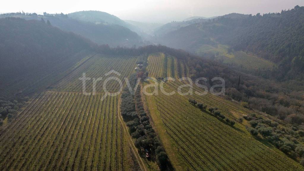 terreno agricolo in vendita a Verona in zona Avesa