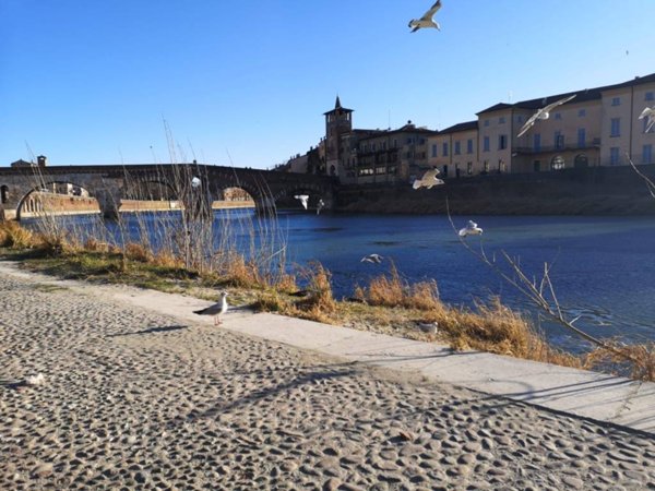 appartamento in vendita a Verona in zona Borgo Trento